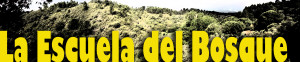 Escuela del Bosque, Hernán-Perez, Sierra de Gata, Asociación Nutria, Asociación Cultural Vetones, Arqueologia Pradocastaño
